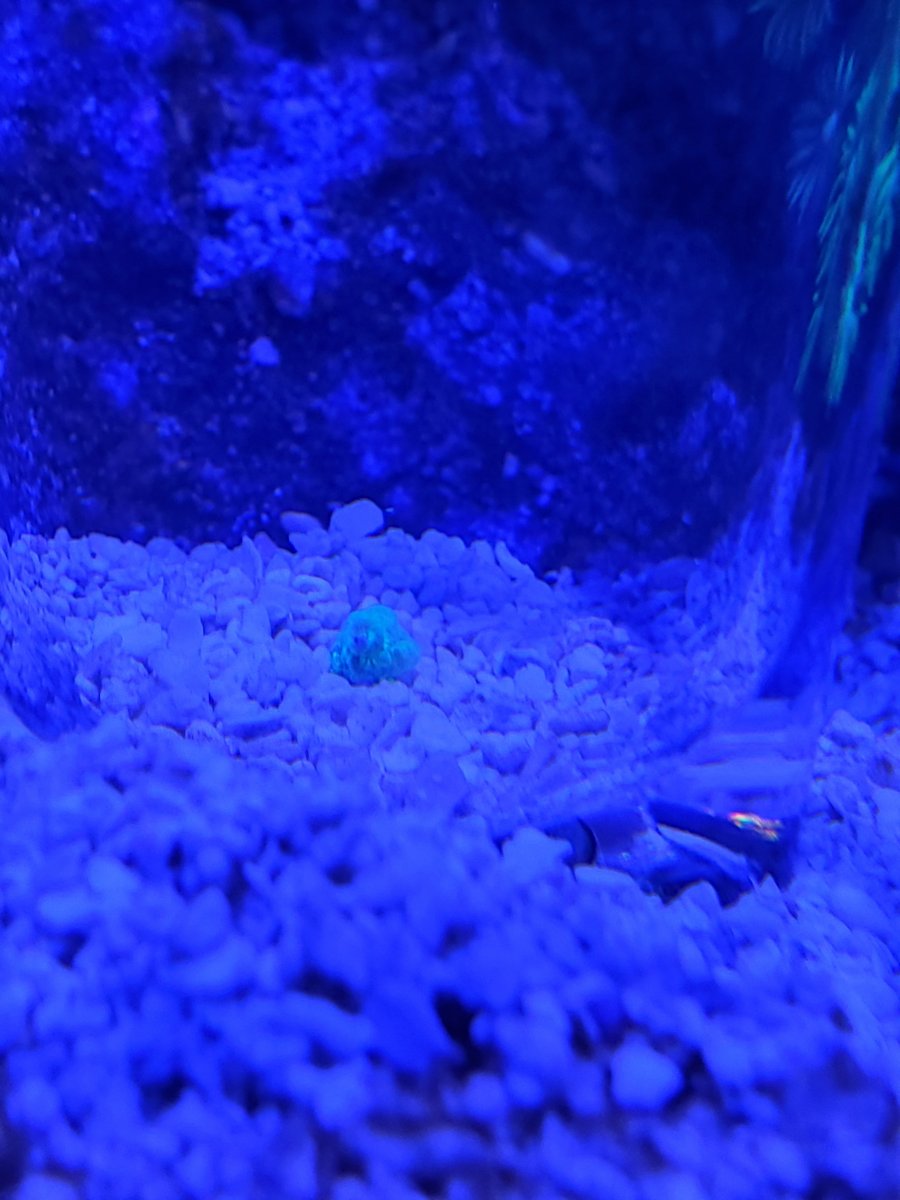 20210128_193130.jpg