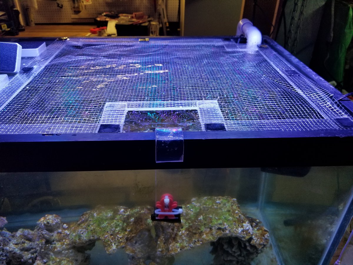 DIY mesh tank lid REEF2REEF Saltwater and Reef Aquarium Forum, tank lid