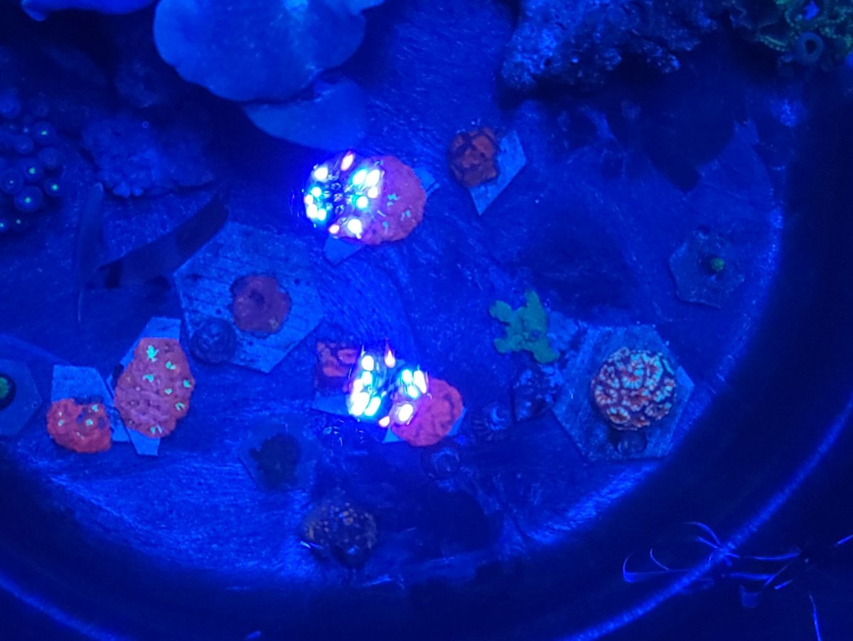 20210208_190237.jpg