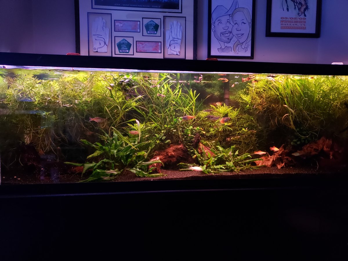 20210316_211702.jpg