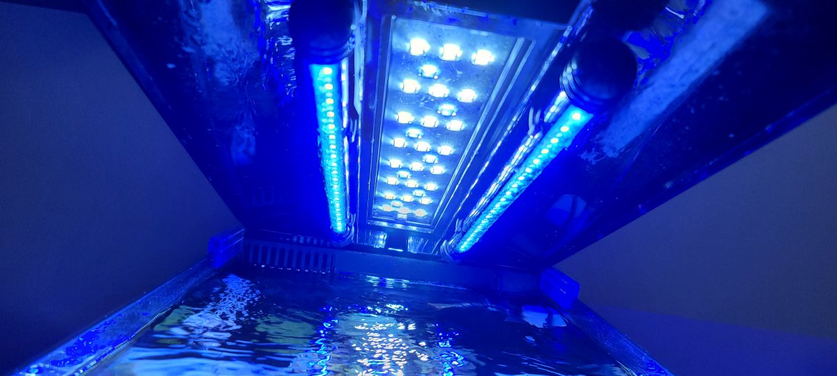 20210402_143557.jpg