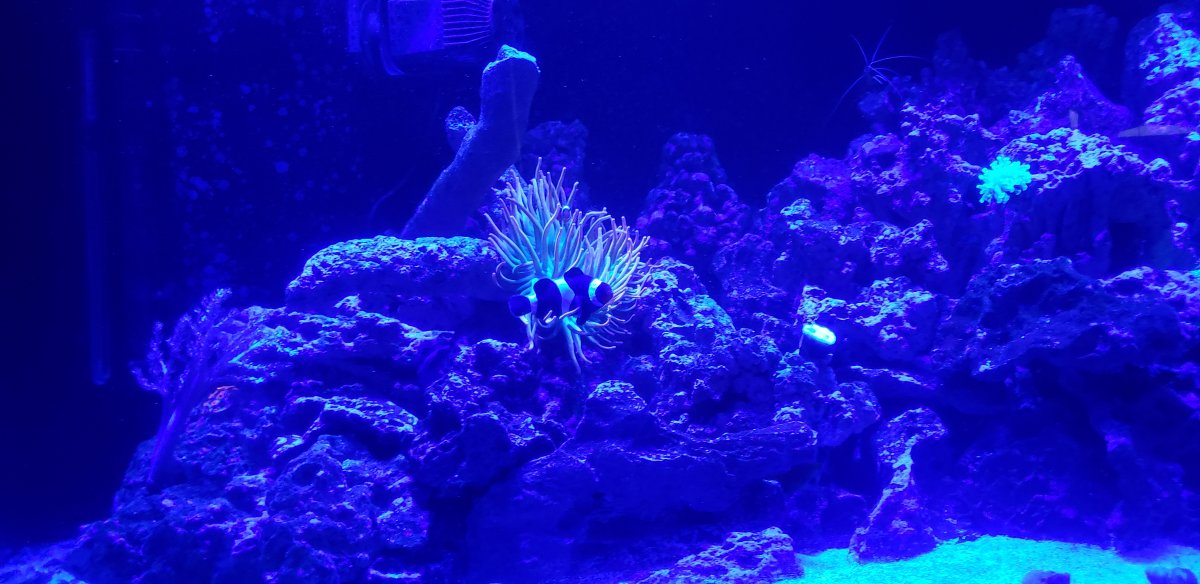 20210415_080408.jpg