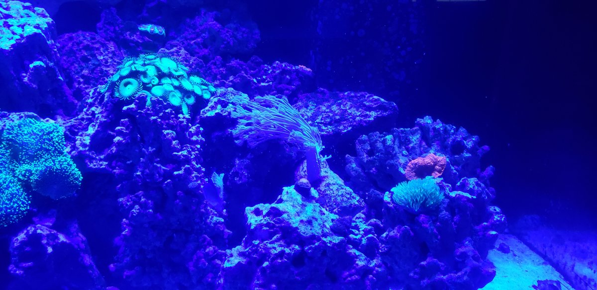 20210415_080417.jpg
