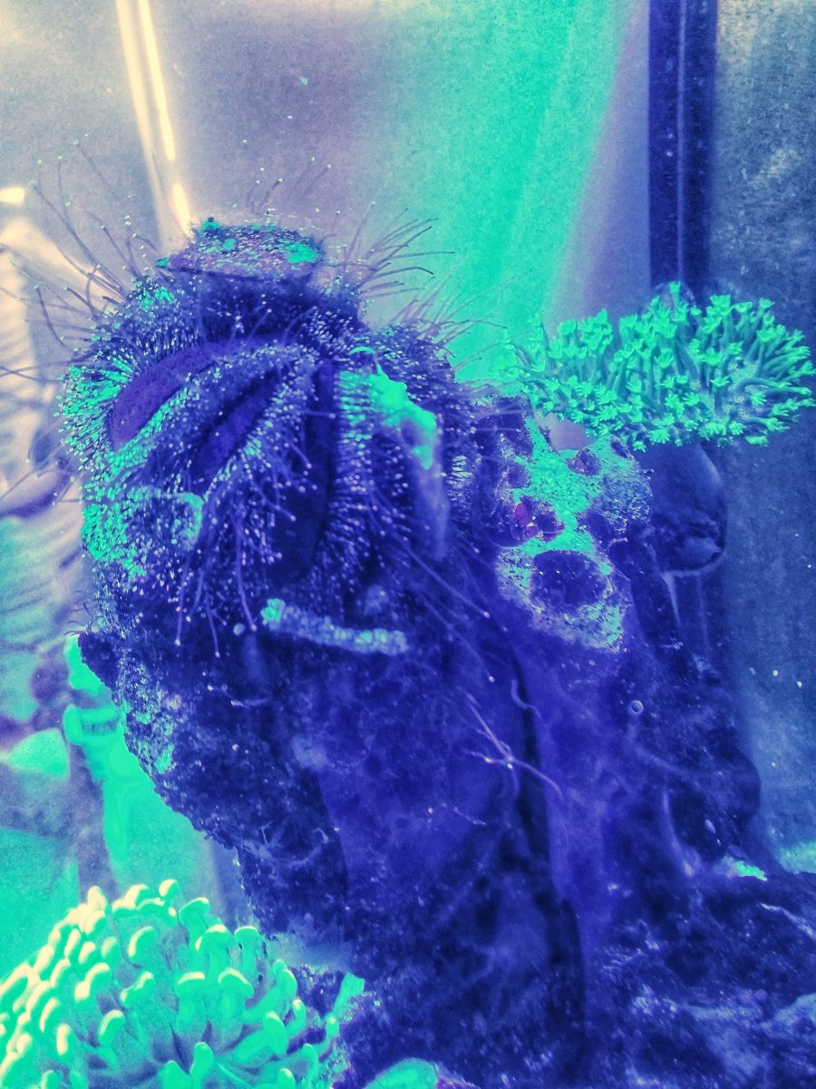 20210425_164517-01.jpeg
