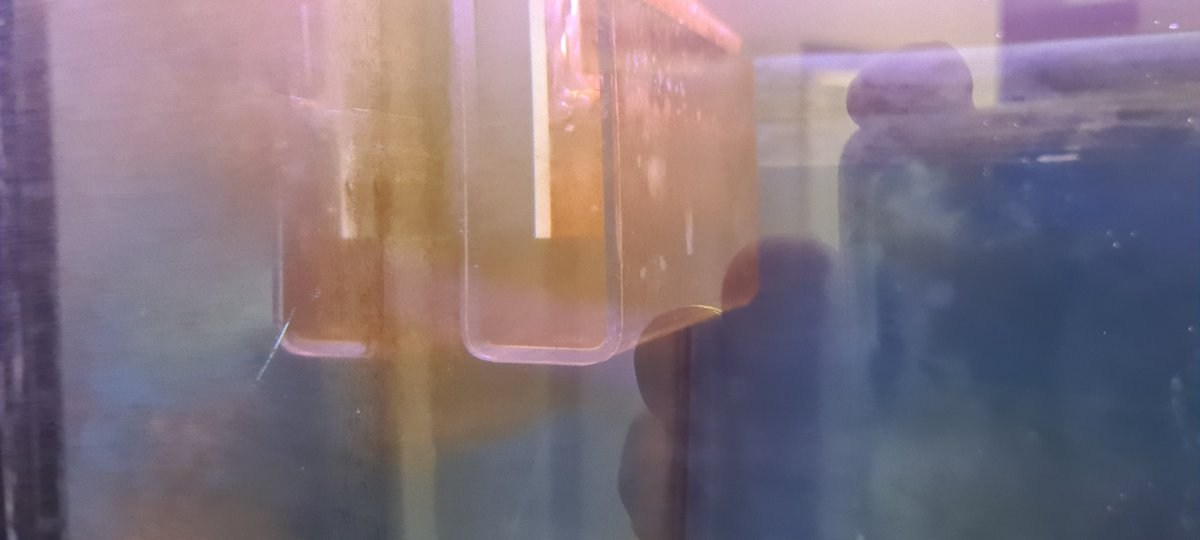 Need help battling Rust looking Algae | Reef2Reef