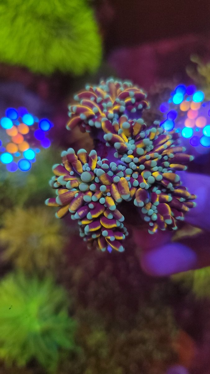 20210522_154655.jpg