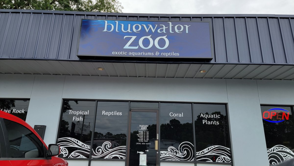 Bluewater zoo exotic aquariums shop & reptiles