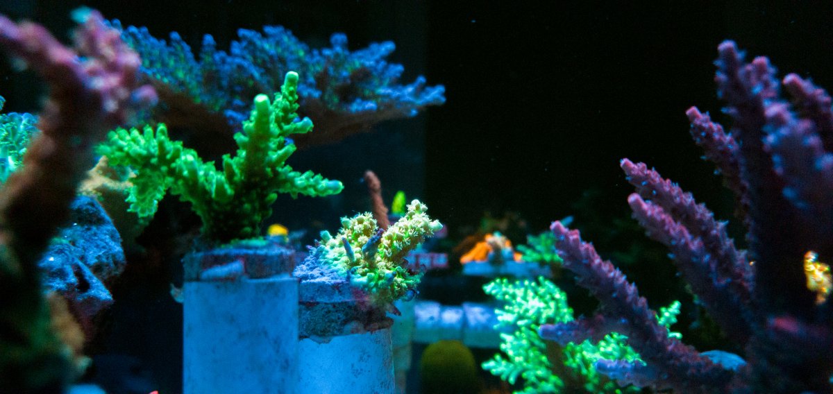 20210614_213920.jpg