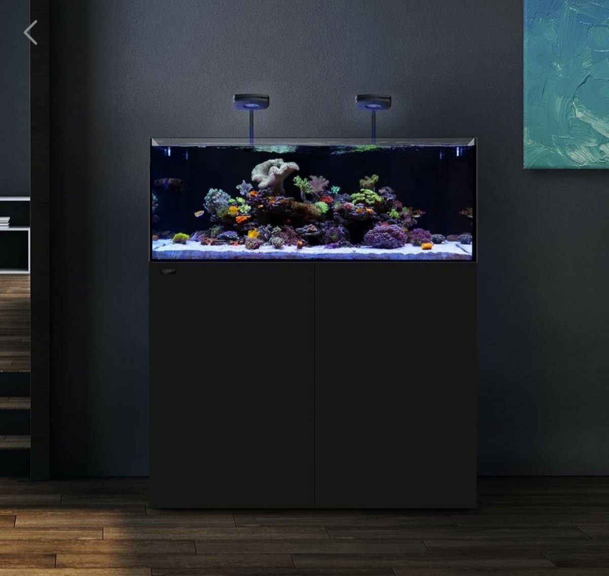 How to make the background Pitch Black like this? | REEF2REEF Saltwater and  Reef Aquarium Forum