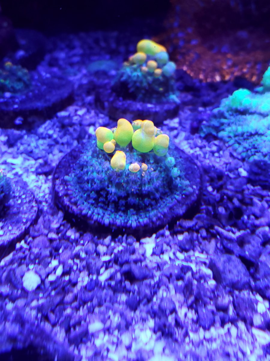20210620_134635.jpg