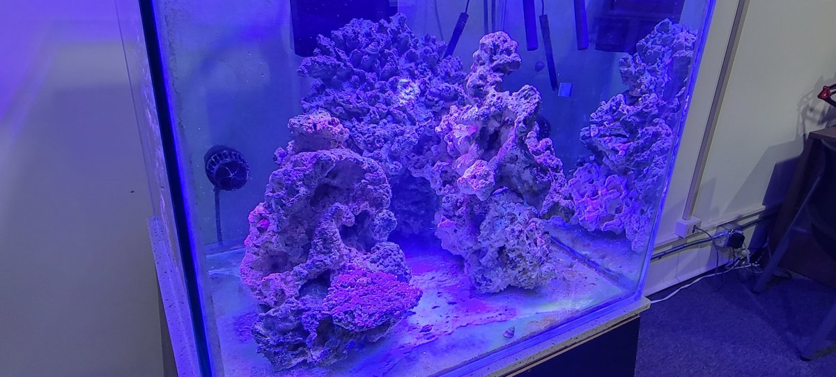 20210622_164530.jpg