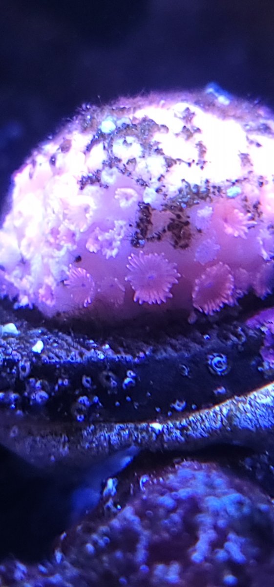 20210708_132810.jpg