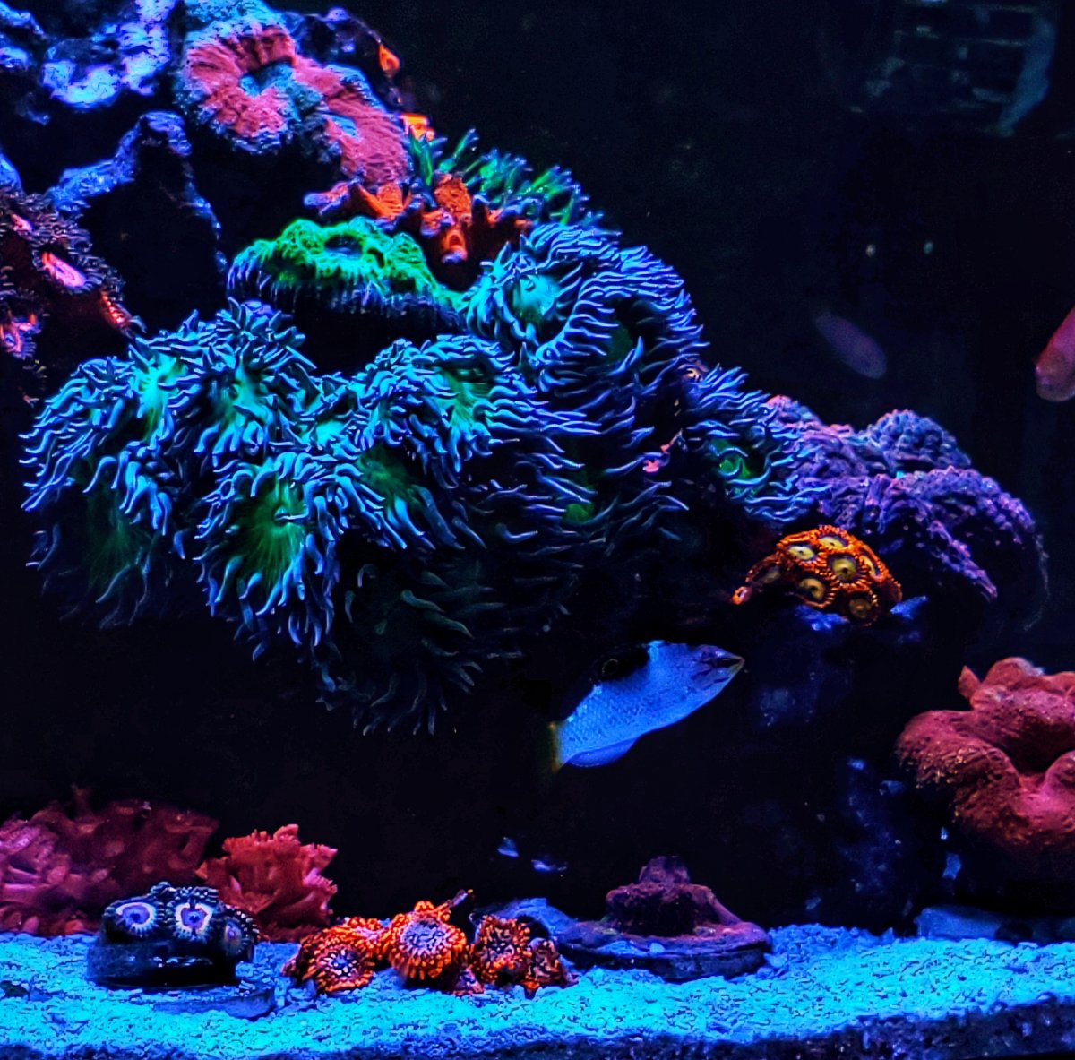 20210728_122332-01.jpeg