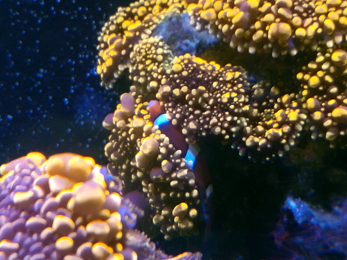 20210731_113530.jpg