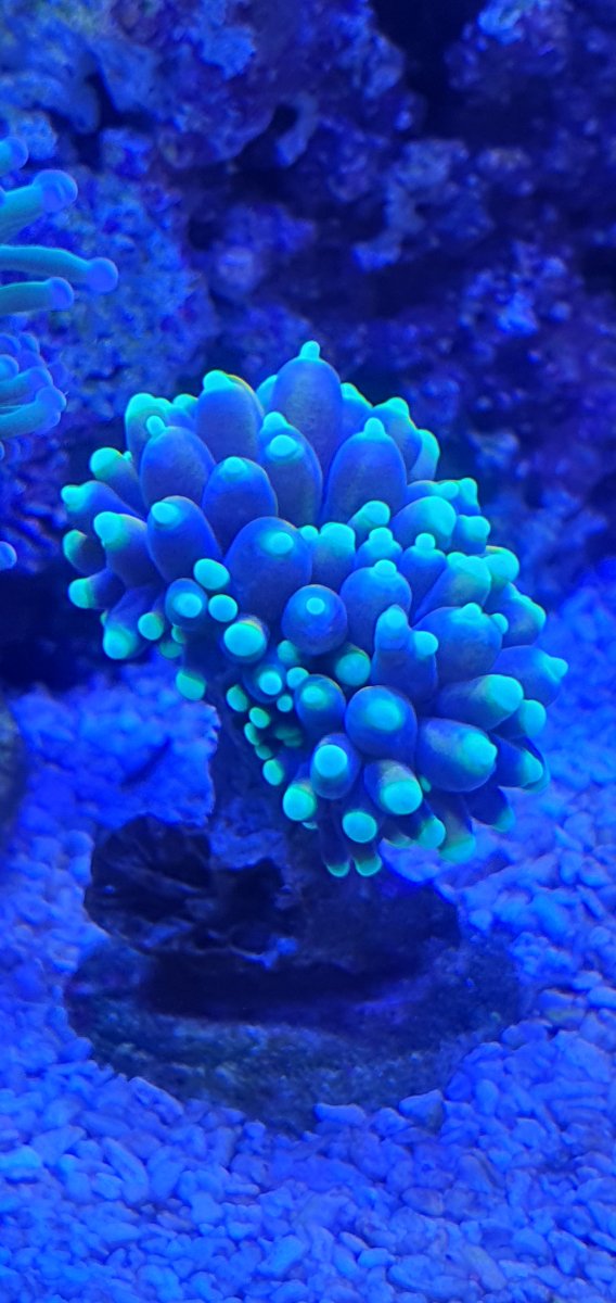 20210820_130655.jpg