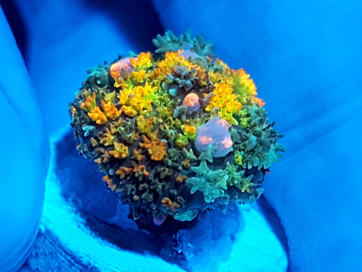 20210826_182341.jpg