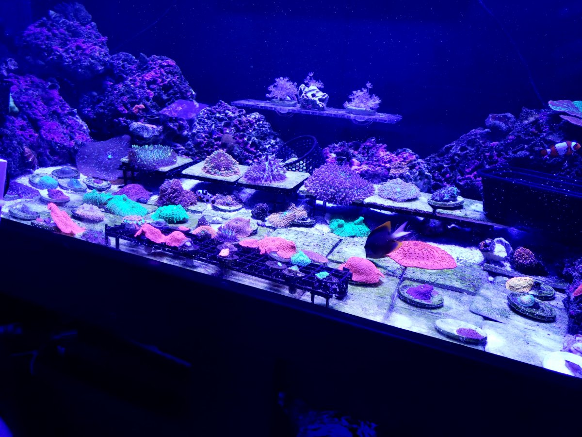 20210909_165237.jpg