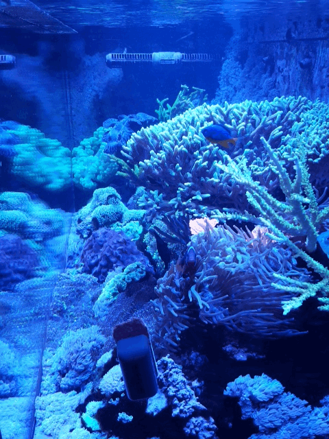 20211023_162938.gif