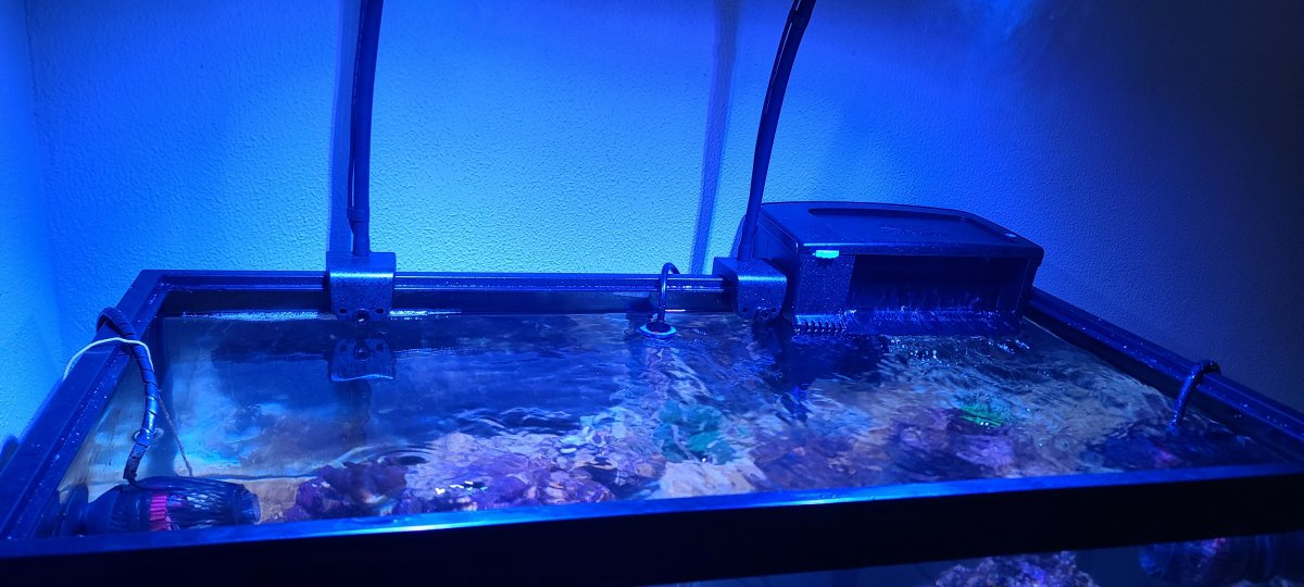 I need a customizable lid or something. Please help REEF2REEF