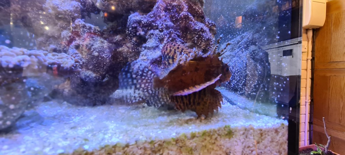 20211207_135519.jpeg