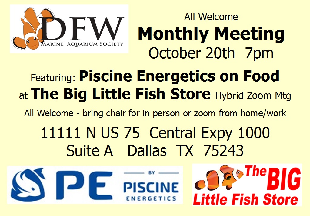 2022-10 Piscine Energetics at The Big Little Fish Store Hobby Club Meeting.jpg