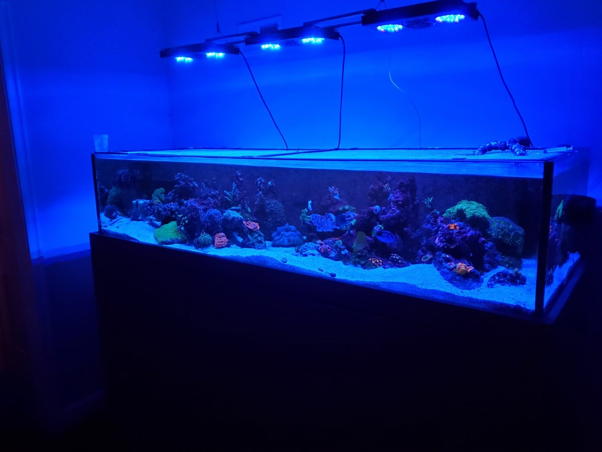 20220102_231136.jpg
