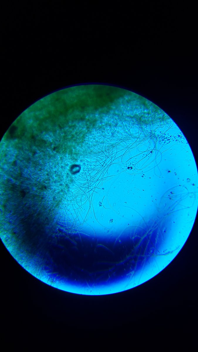 20220103_215728.jpg