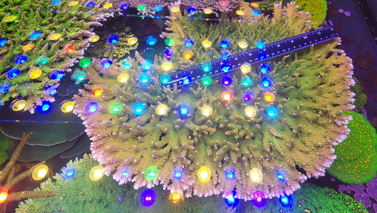 20220112_160330-01.jpeg