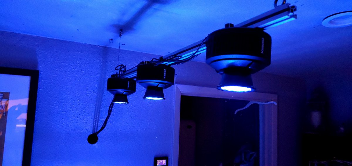 20220113_183734.jpg