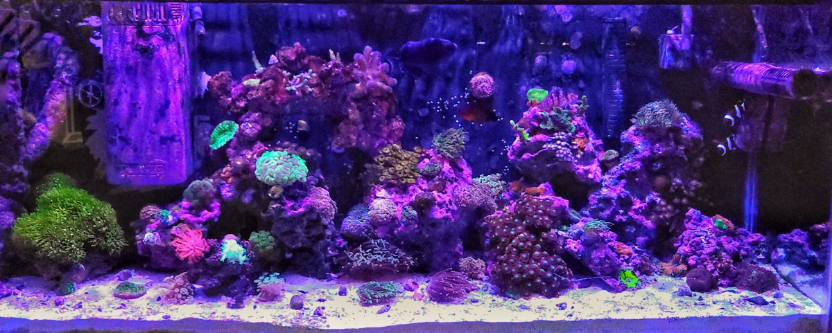 20220116_142607-01.jpeg