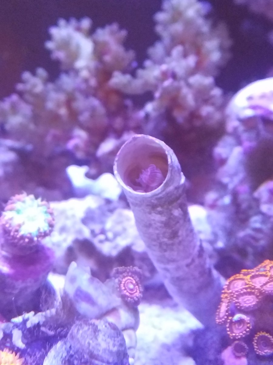 20220116_173957.jpg