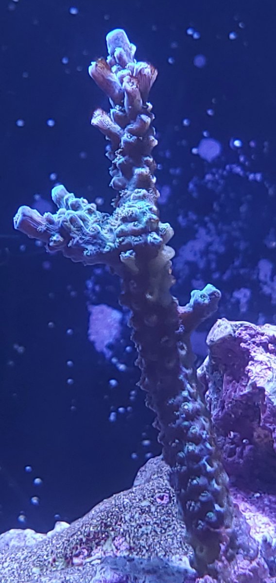 20220117_170140.jpg