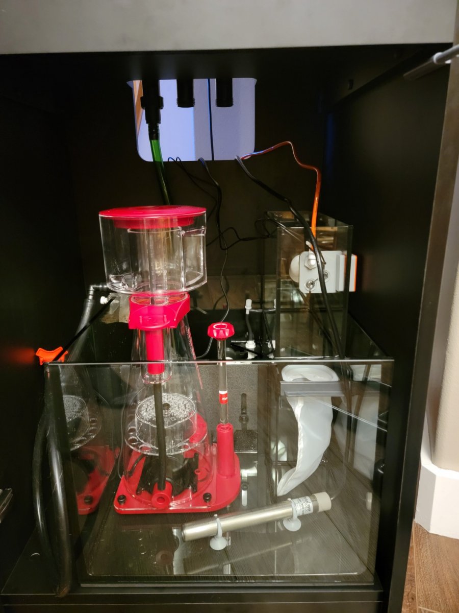 20220124_220244.jpg