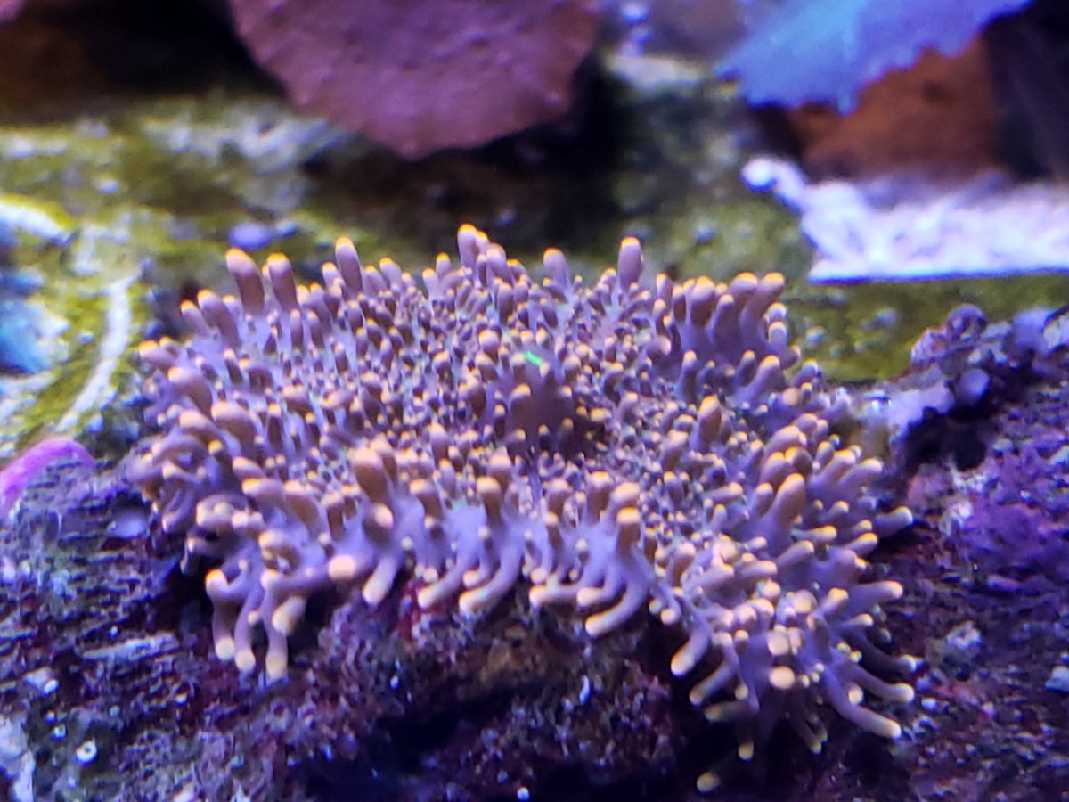 20220125_181241.jpg