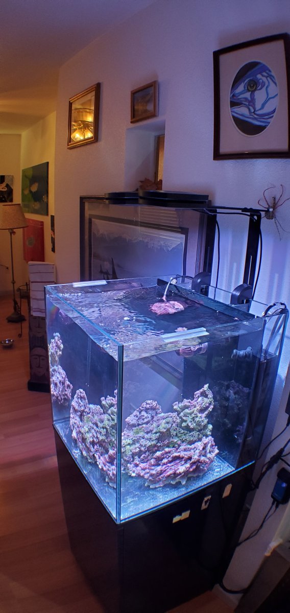 20220126_162437.jpg