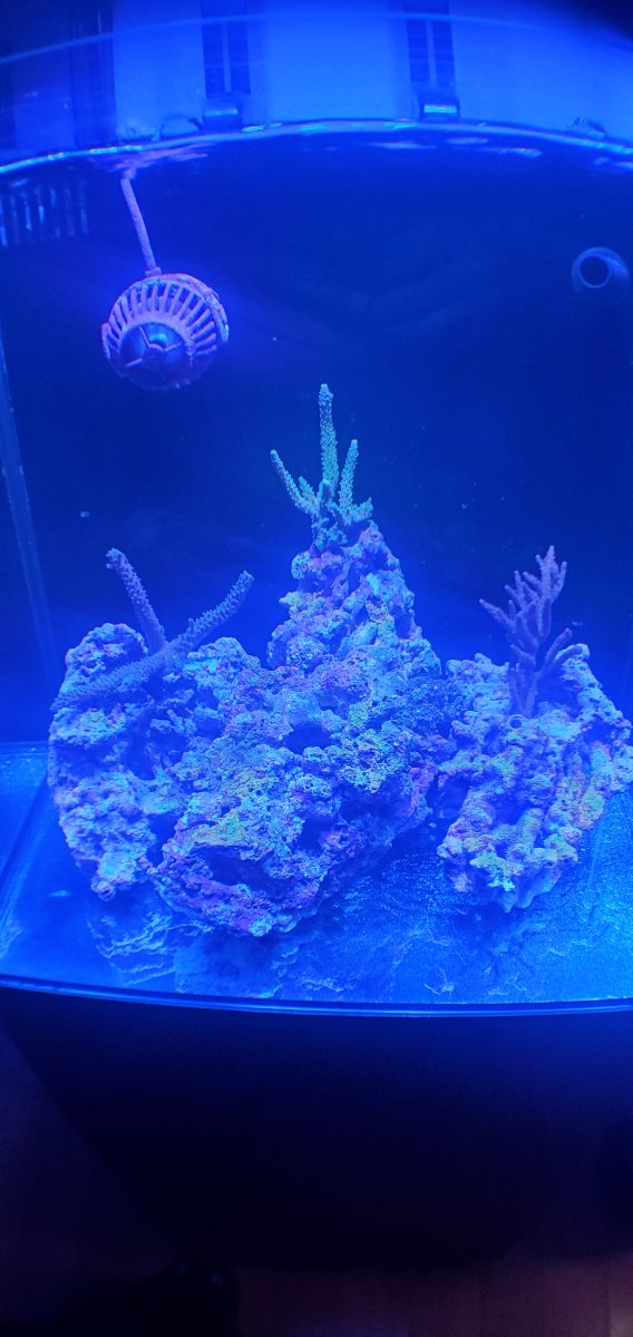 20220127_093402.jpg