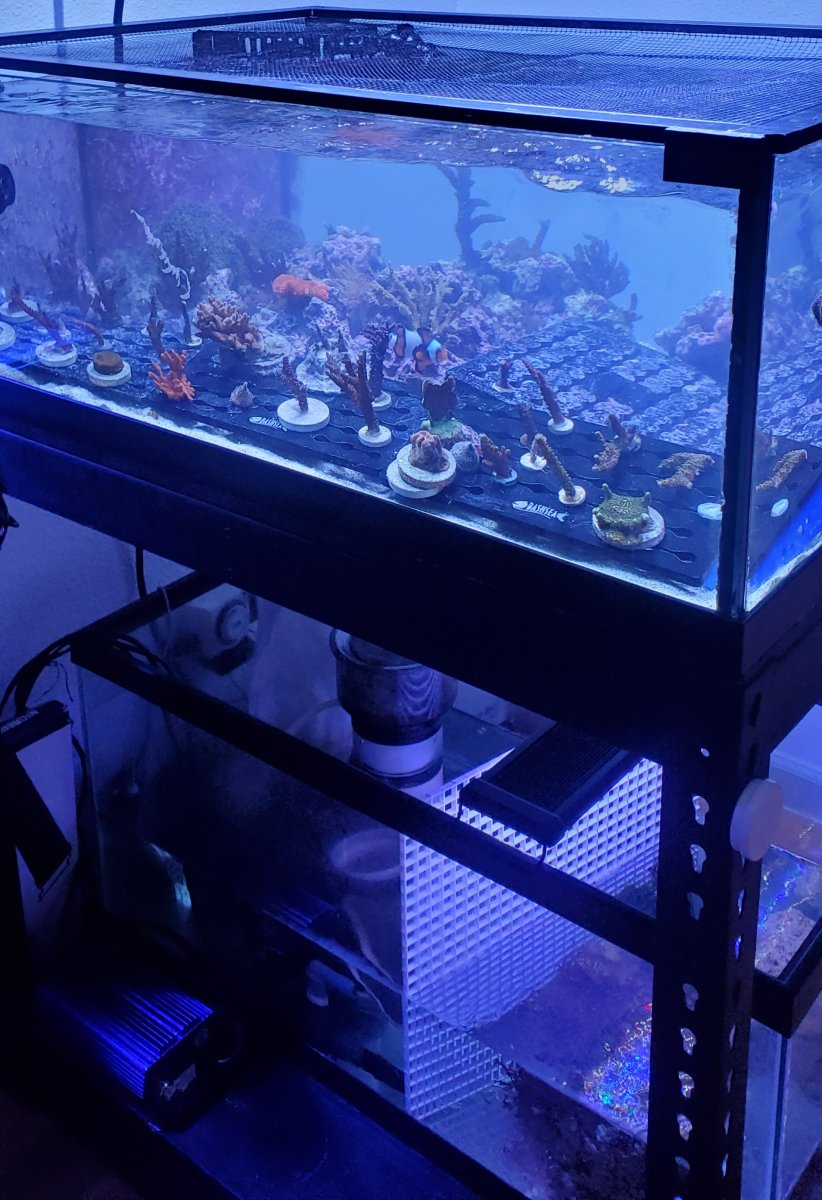20220127_145607.jpg