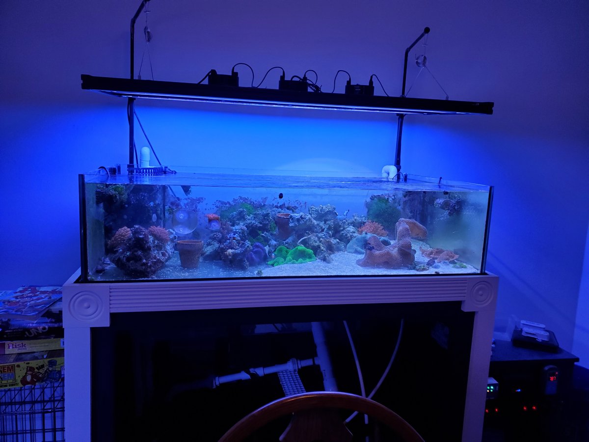 20220128_172556.jpg