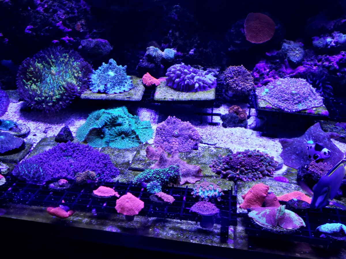 20220129_113605.jpg