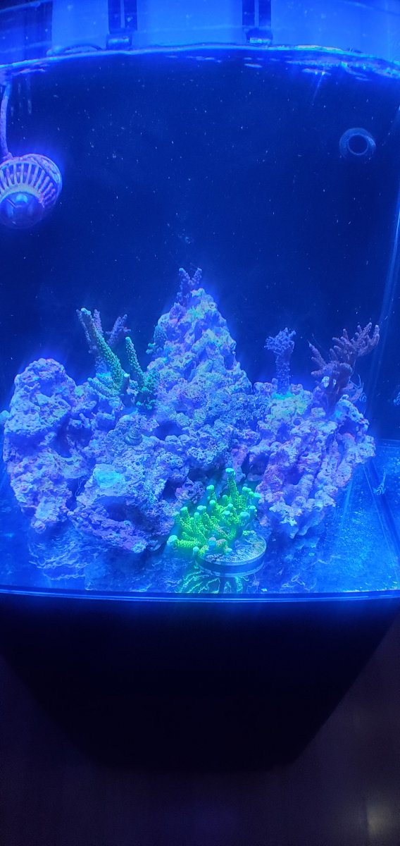 20220131_094629.jpg