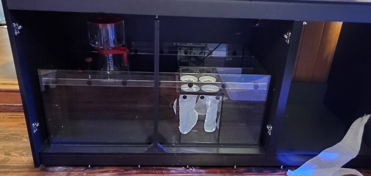 20220131_182815.jpg