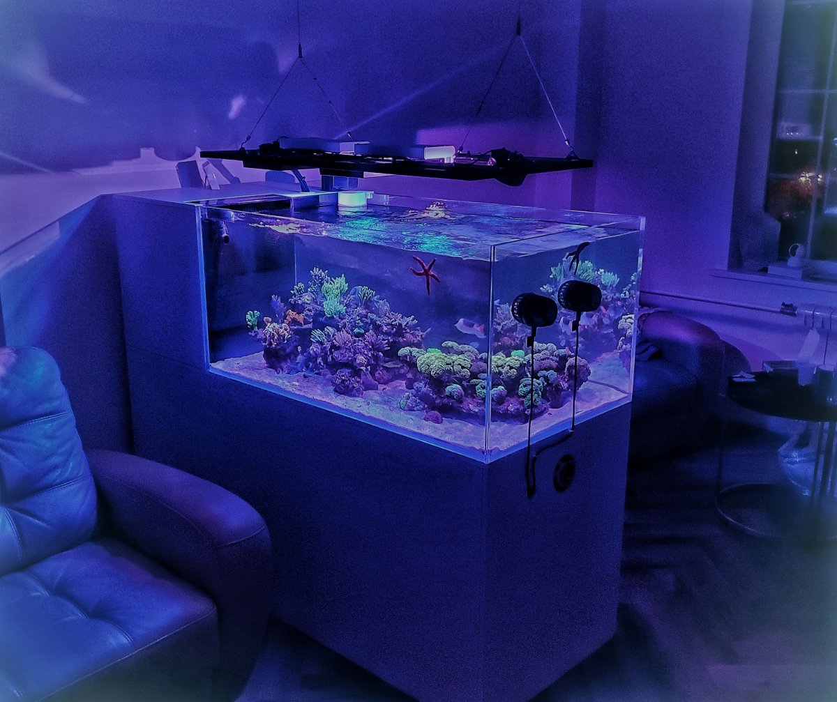 20220313_201525-01.jpeg