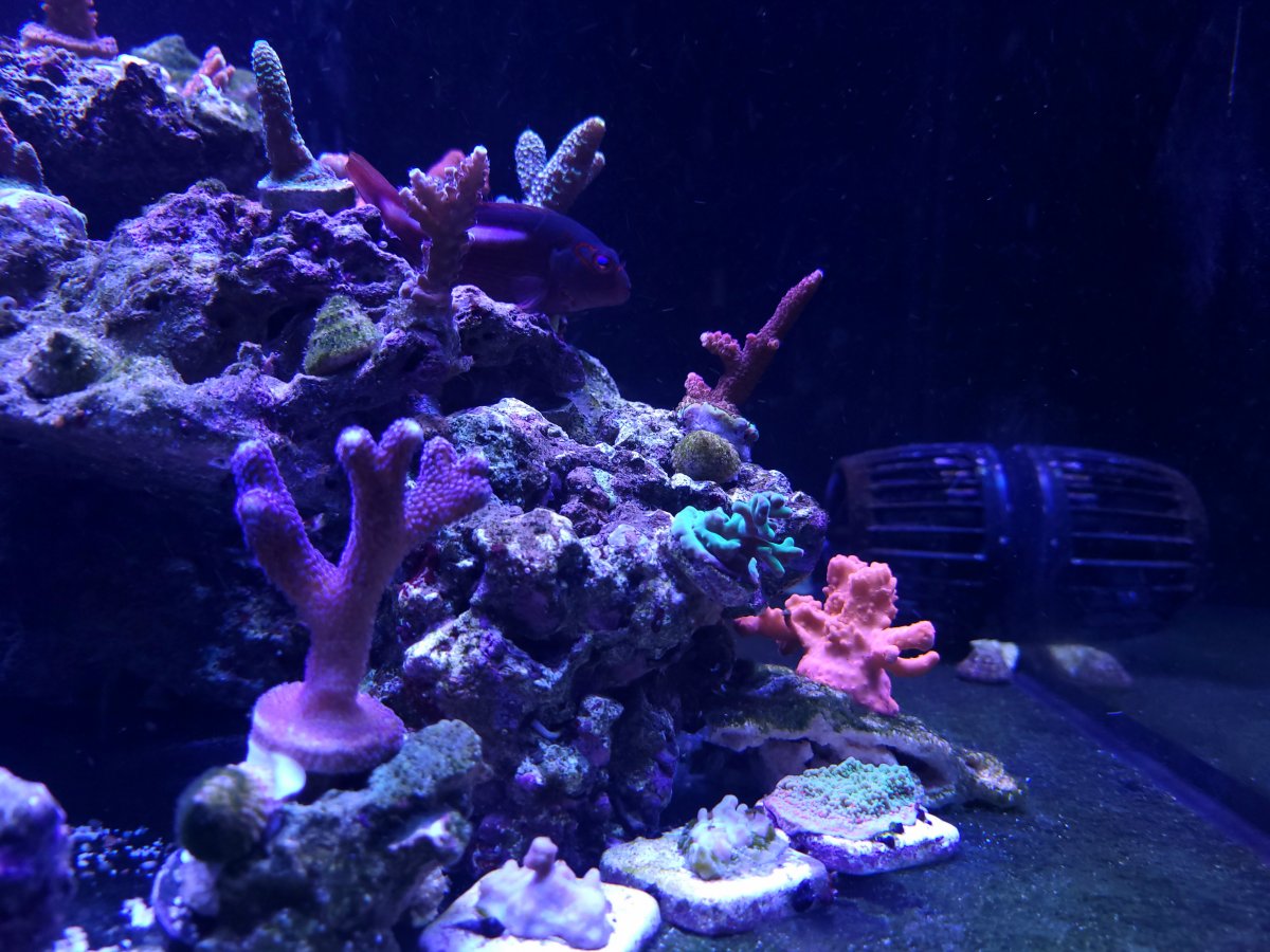 20220327_104403.jpg