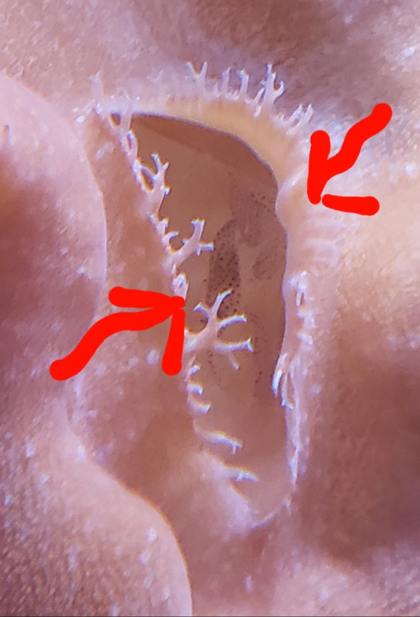 20220331_155346.jpg