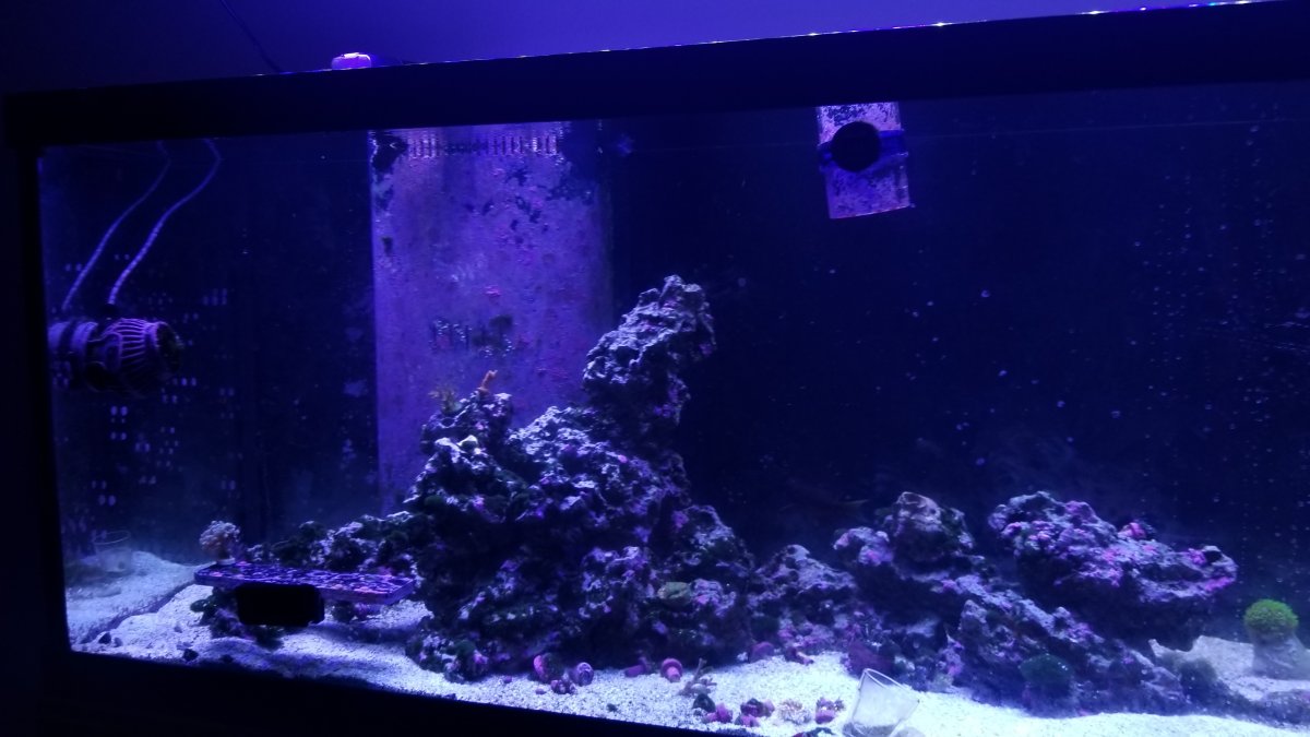 20220401_122957.jpg
