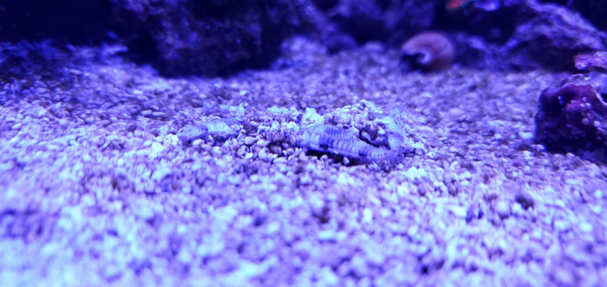 20220401_200124.jpg