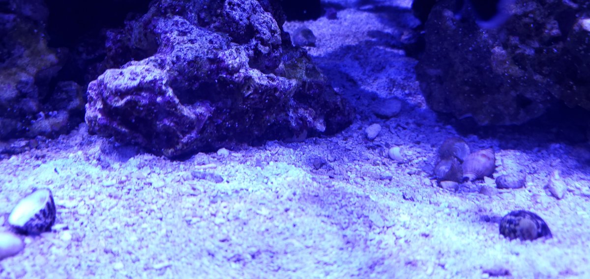 20220401_200141.jpg