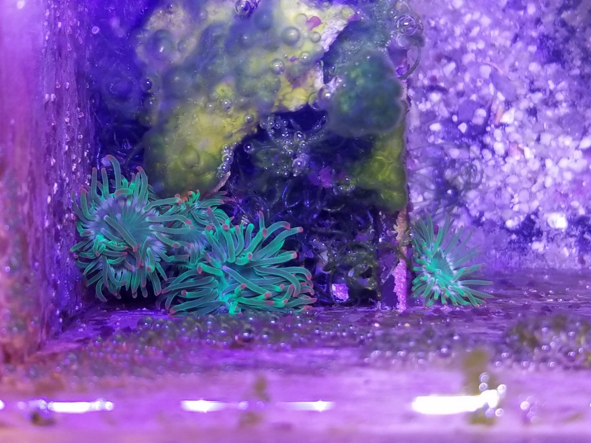 20220401_235220.jpg