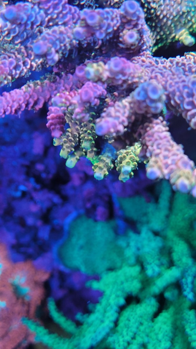 20220413_211355.jpg