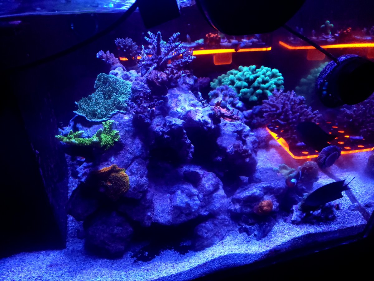 20220417_090220.jpg